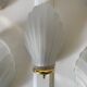 Frosted glass shell wall lights