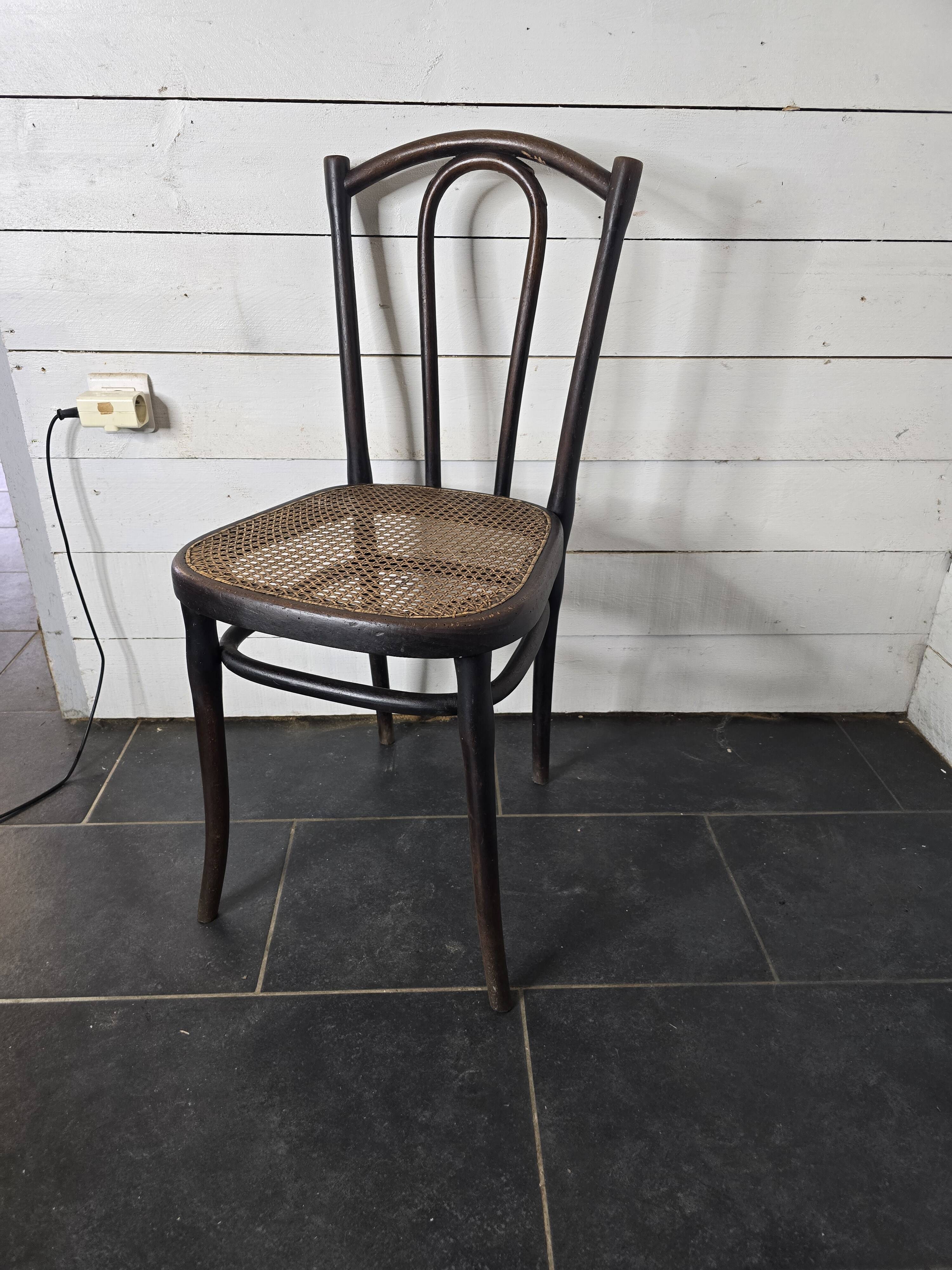 Chaise de bistrot en bois courbé Thonet