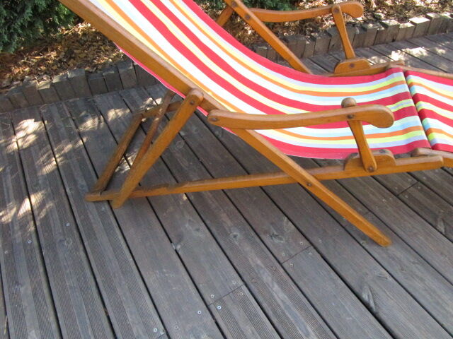 Ancient Chilean Transatlantic