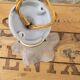 Glass and porcelain tulip sconce
