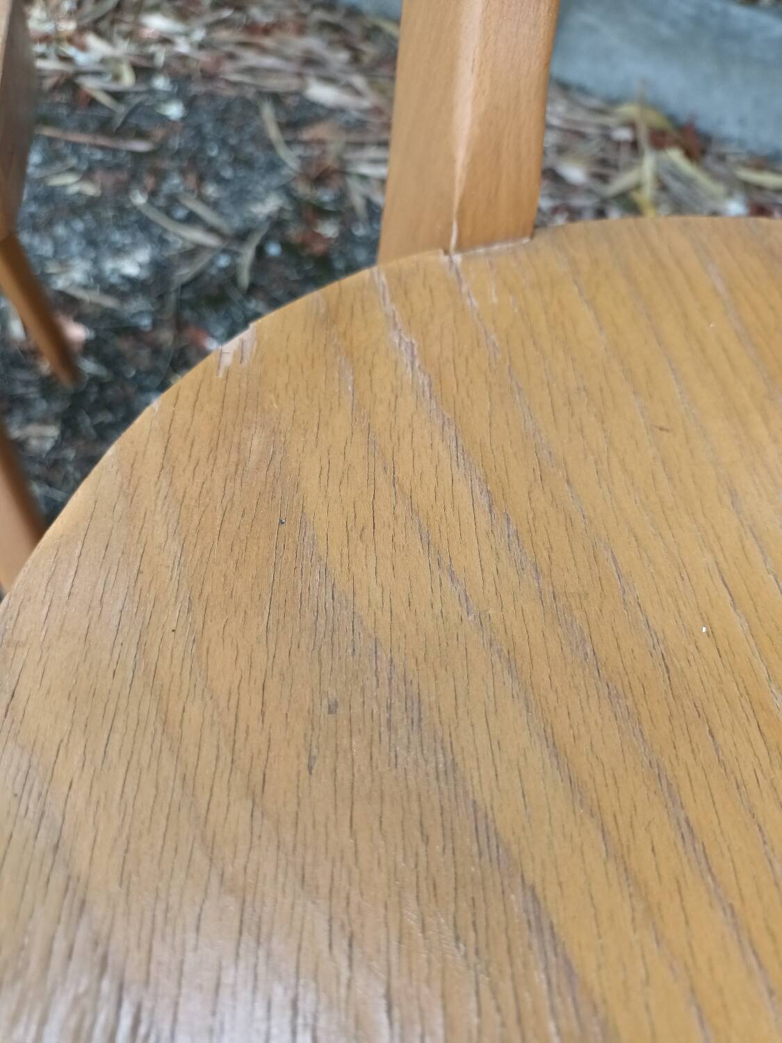 Antelope Chairs Stella Luterma