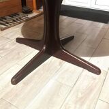 Baumann extendable table