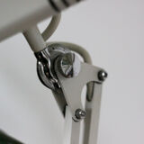 Fase articulated lamp