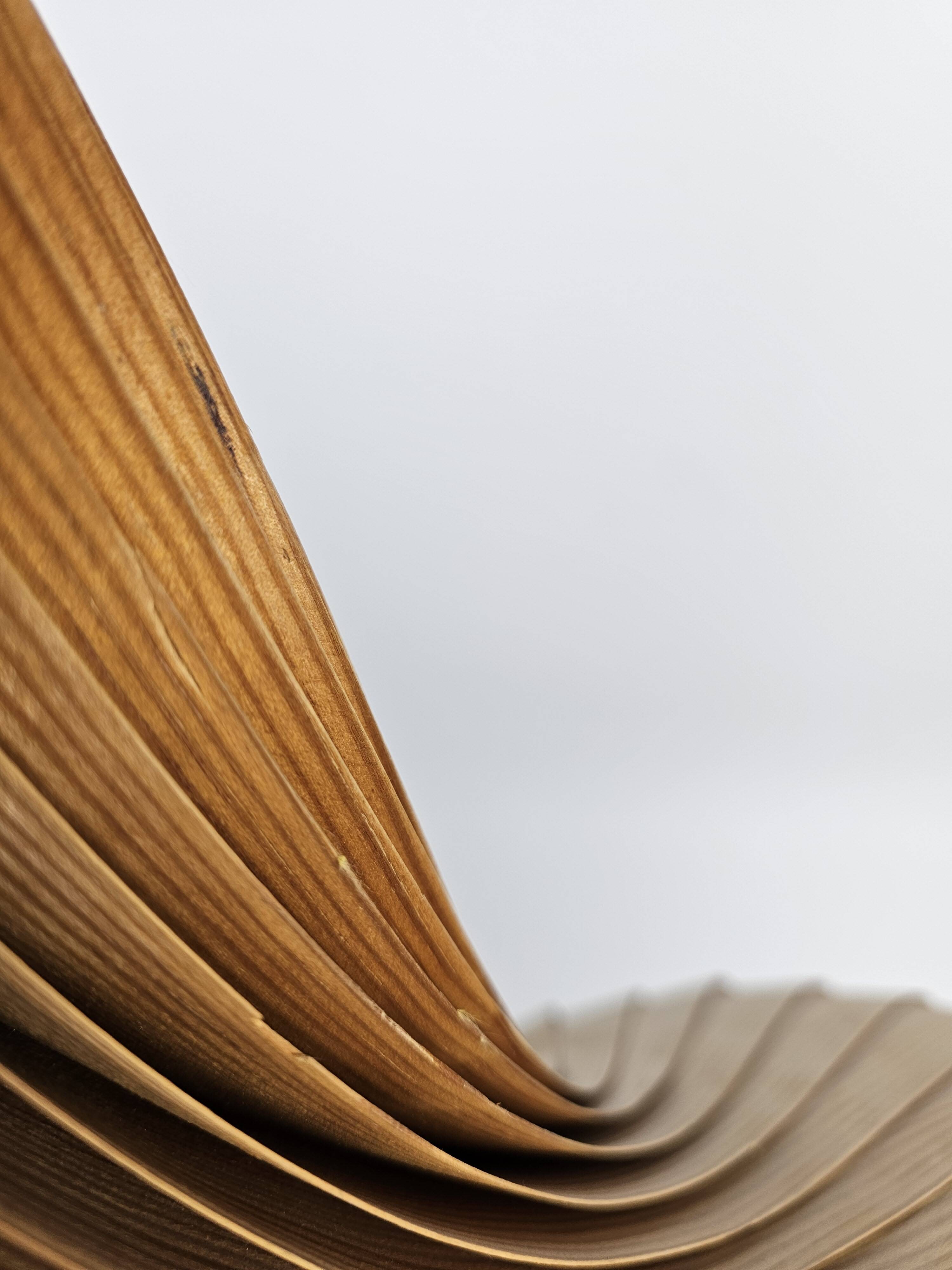 Large vintage hanging lamp veneer wood Hans Agne Jacobsson