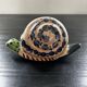 Painted stoneware snail