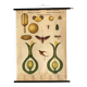 Botanical Poster: Pollination and Fertilisation