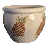 Pineapple planter