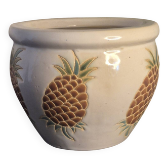 Pineapple planter
