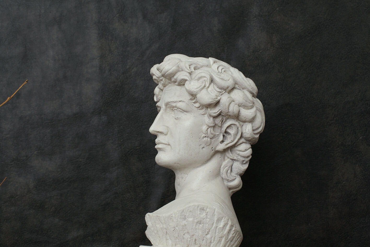 David head in waxed white concrete