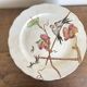 set de 12 assiettes polychrome 1850 ondulées Brownfield England oiseaux
