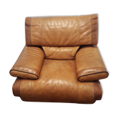 Fauteuil en cuir Roche Bobois