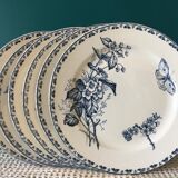 Set of 6 plates Sarreguemines "terre de fer" model Carmen