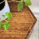 Table basse en bambou vintage