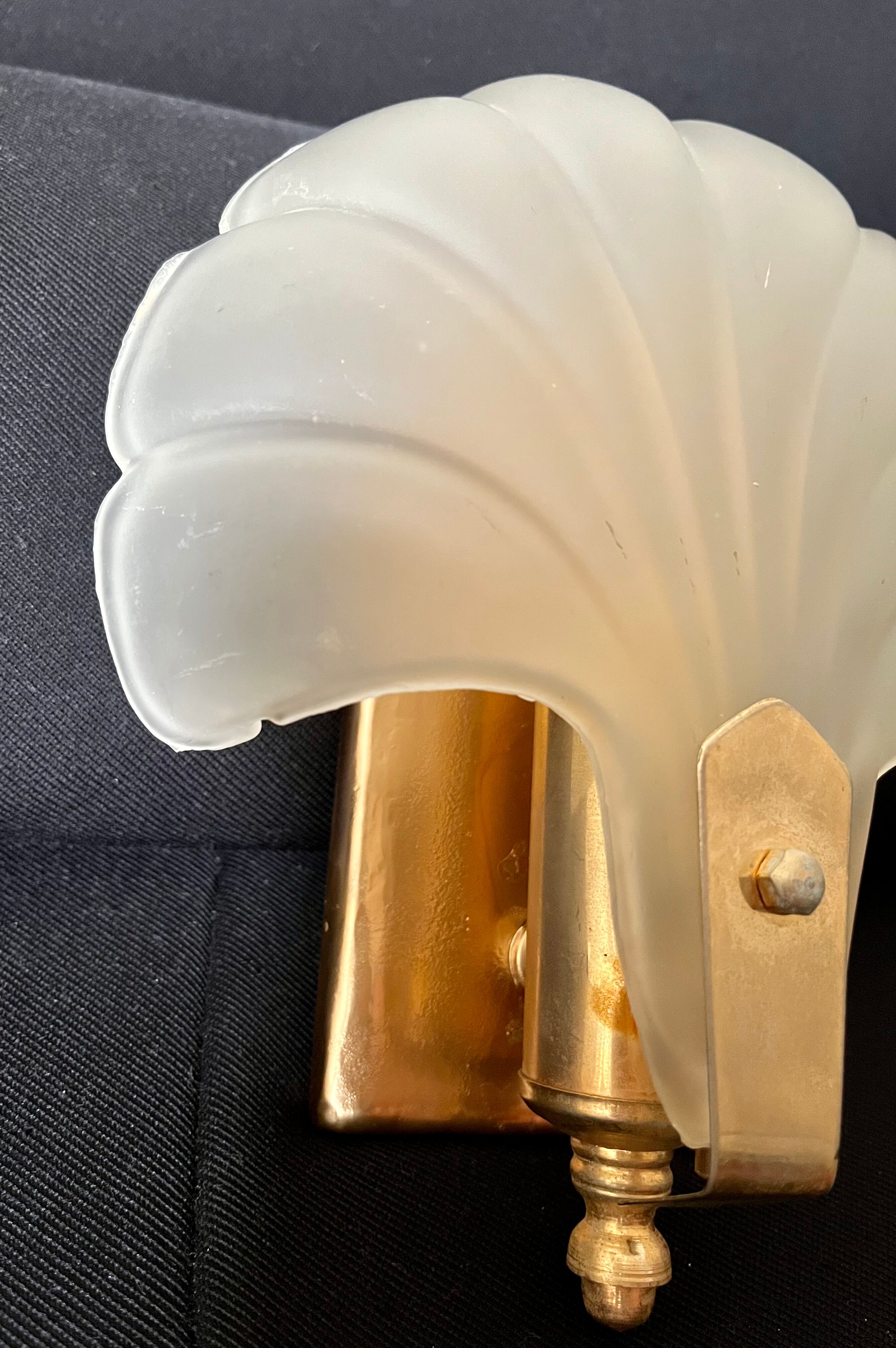 Shell wall lamp