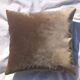 golden Medici cushion