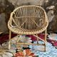 Adult wicker shell chair
