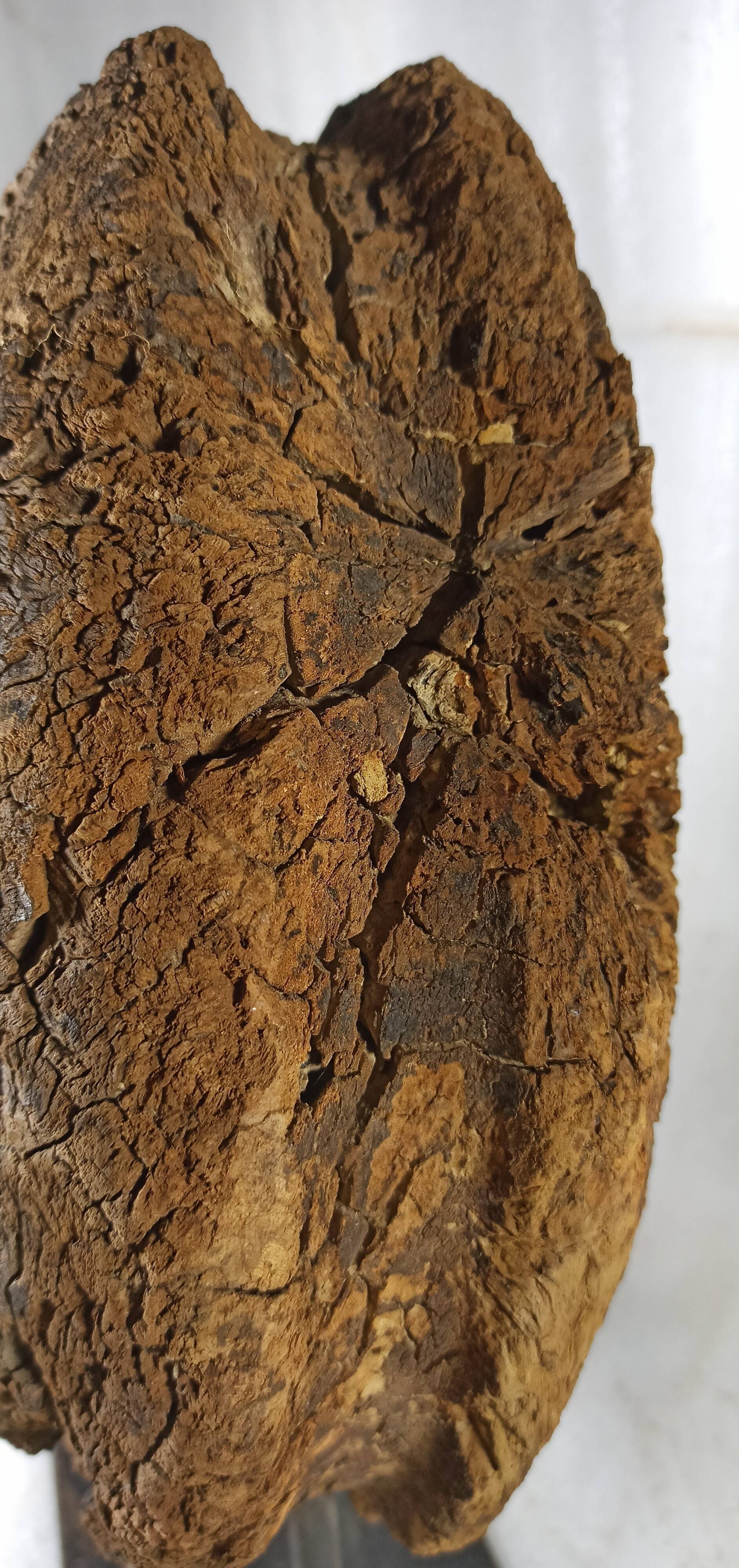 Old wooden pulley wheel on foot