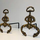 Chenets, cheminée, bronze, fer forgé, style néoclassique, lions