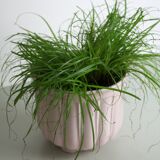 Pink glazed ceramic pot cover