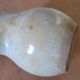 Sandstone pitcher