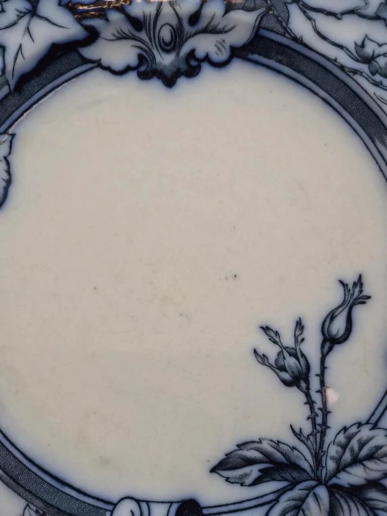 Antique English plate BWM & Co – Rose & Ivy pattern – registered 1868 – blue and black decoration.