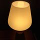Scandinavian lamp in teak and opaline years 50-60