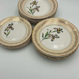 Porcelain plates signed moulin des loups 18 pieces