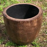 Coconut cacker