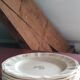 Lot of 6 dessert plates in Sarreguemines earthenware