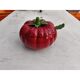 Soupière faïence tomate