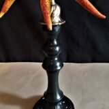 Starfish solaster dawsoni