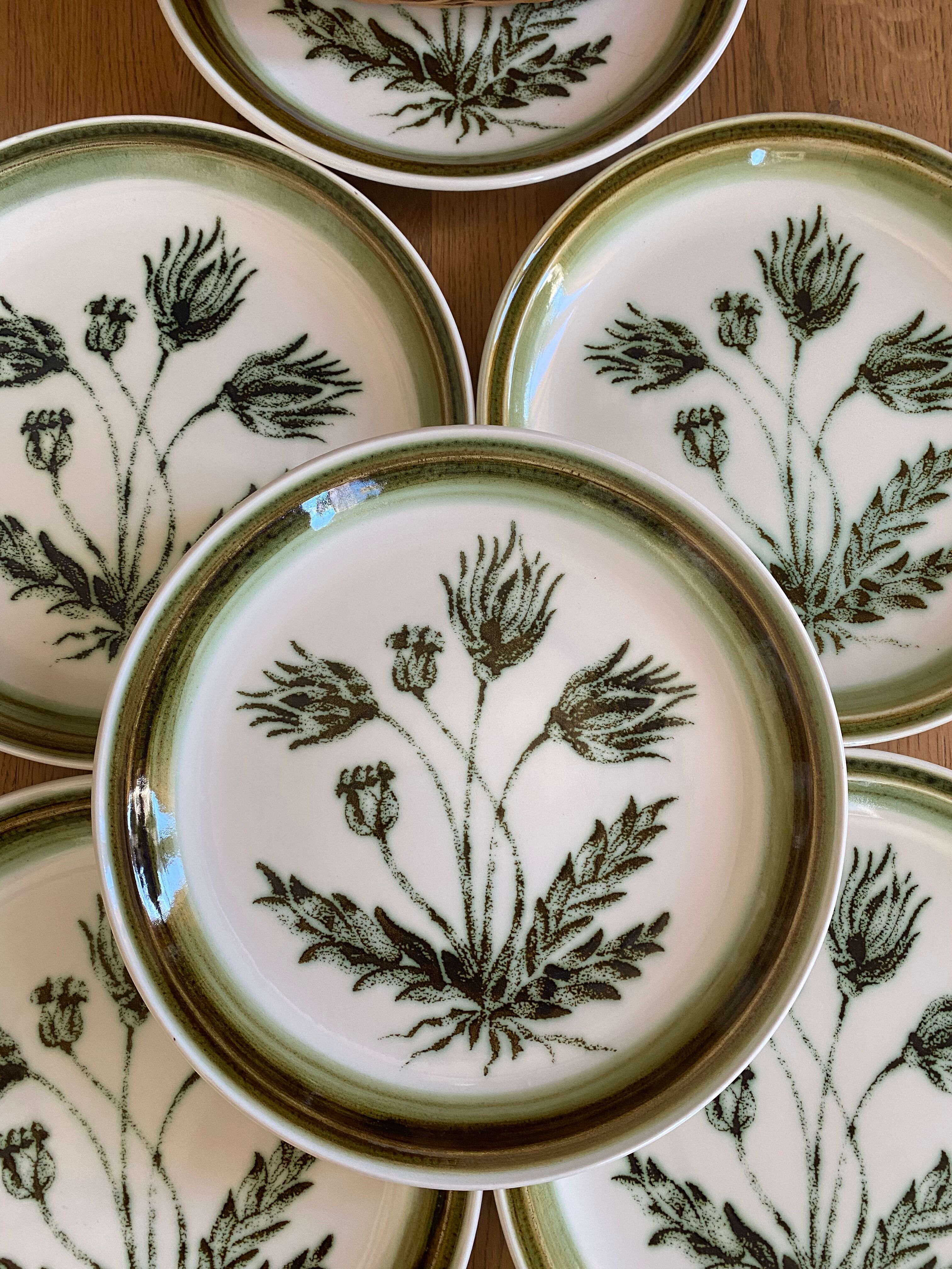 Vintage Gien Flat Plates - Herbarium Model