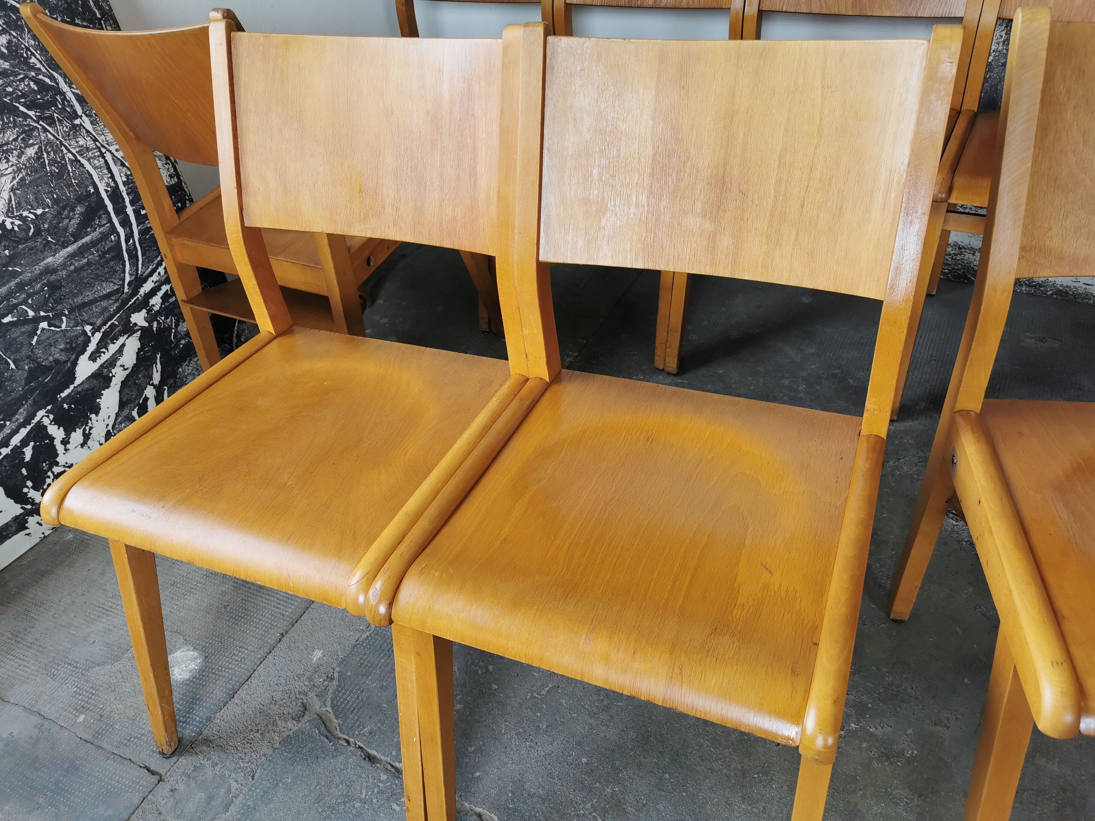 Lot de 6 chaises de théâtre en bois blond
