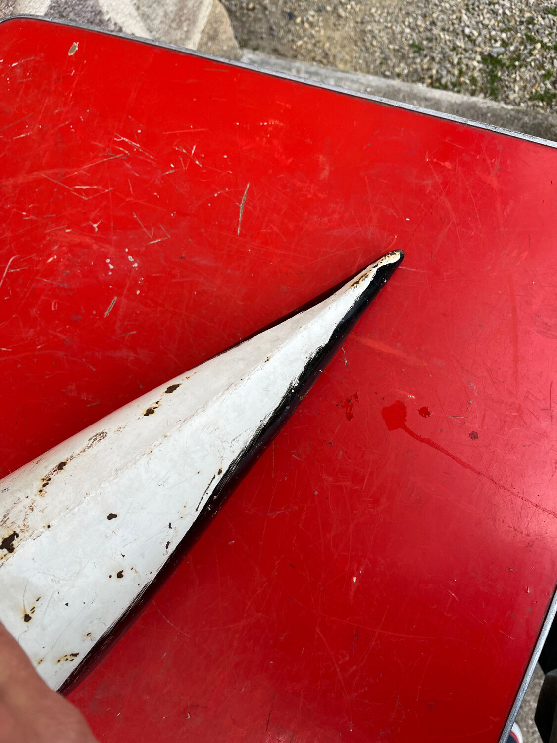 Stork plant guardian