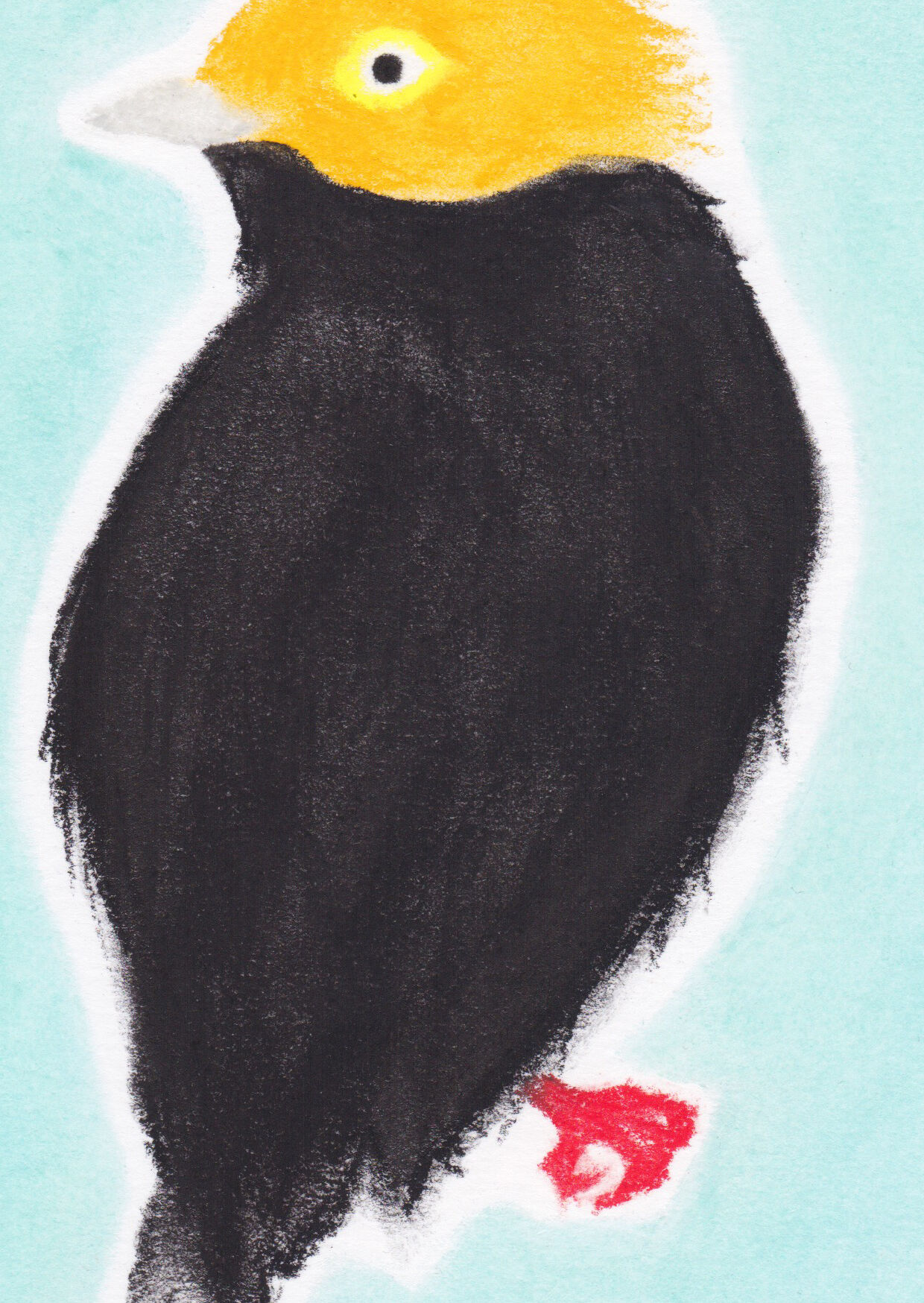 Oiseau "golden cap" dessin original