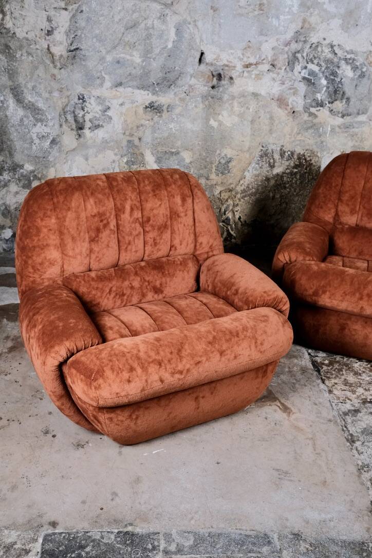 Pair of squirrel velvet armchairs, France, 1970s