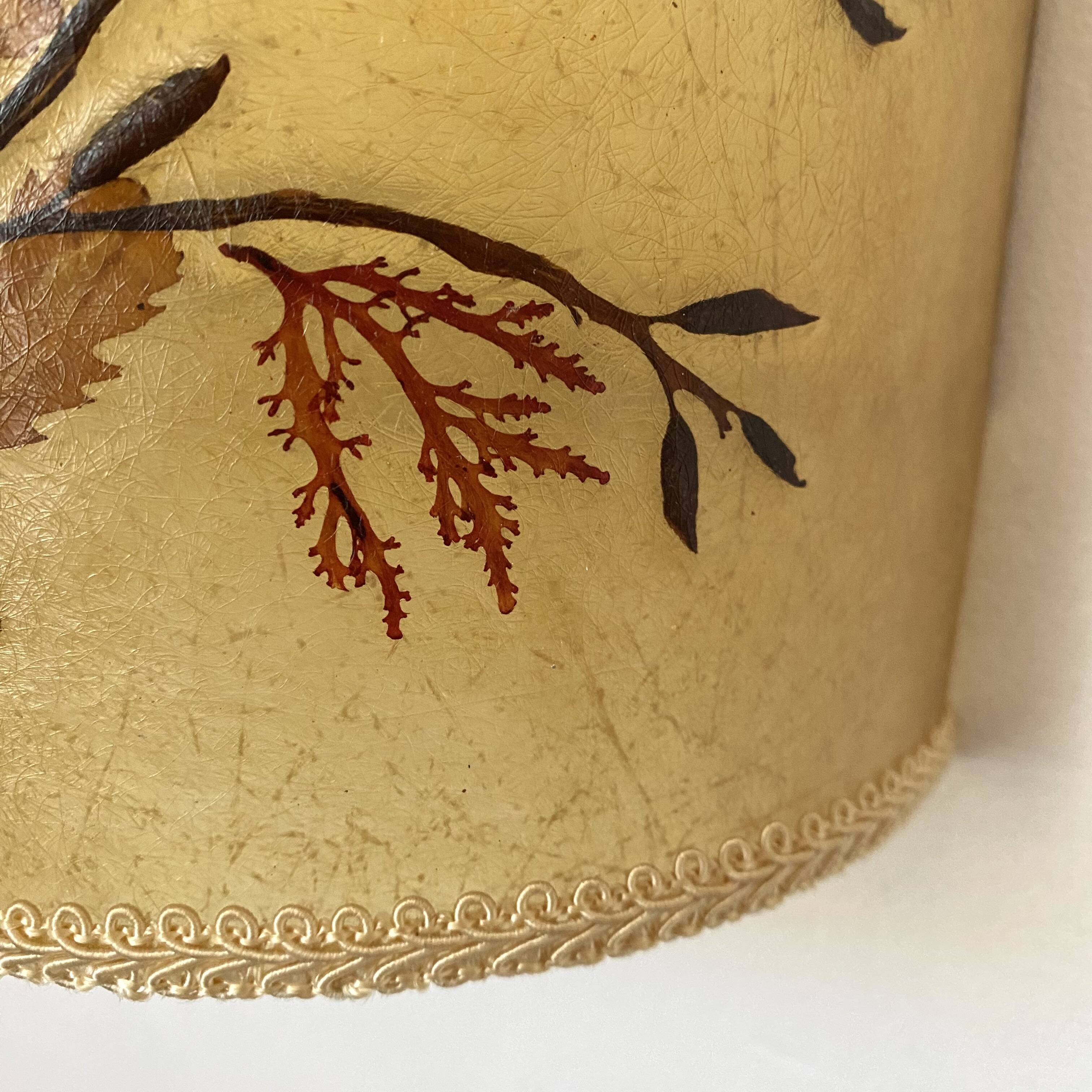 Paire d'appliques vintage herbiers