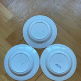 Deep plates Sarreguemines with carnation bouquets