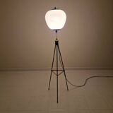 Stilnovo Tripod Floor Lamp, Italy 1950's