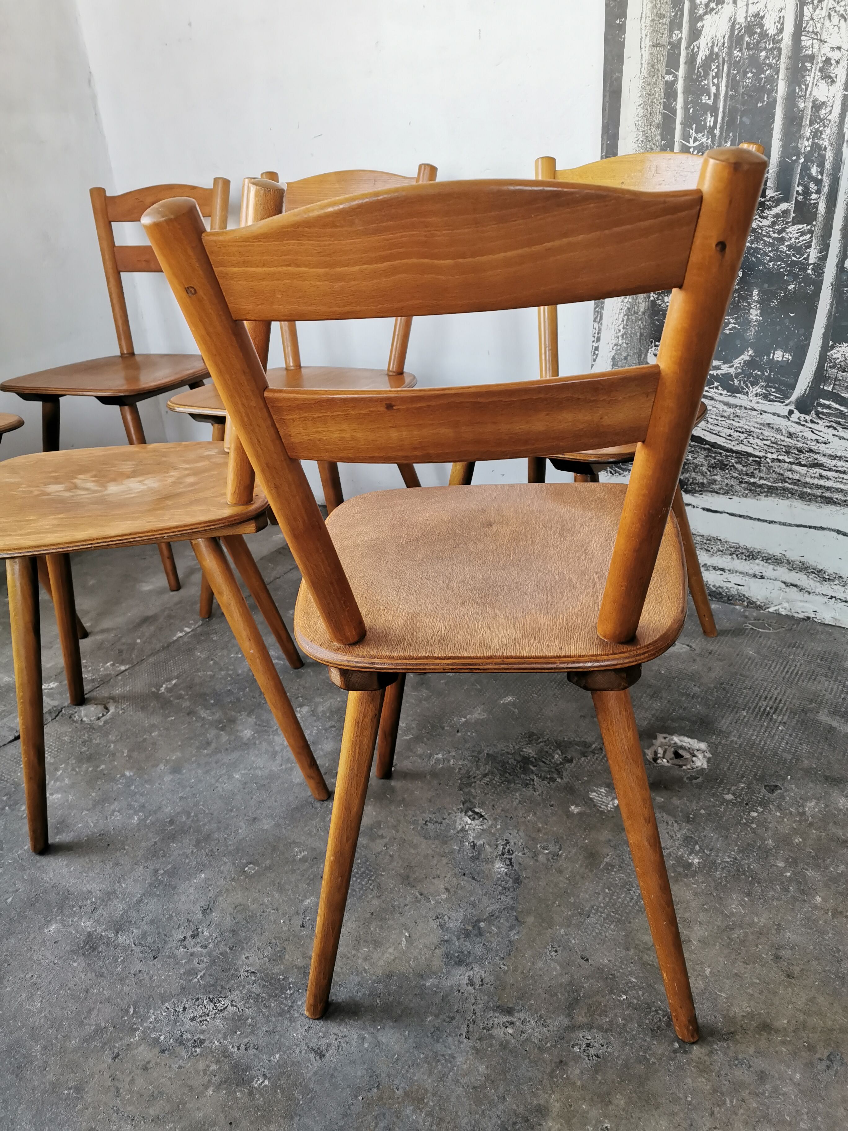 Set of 6 vintage chairs 1960 bistro