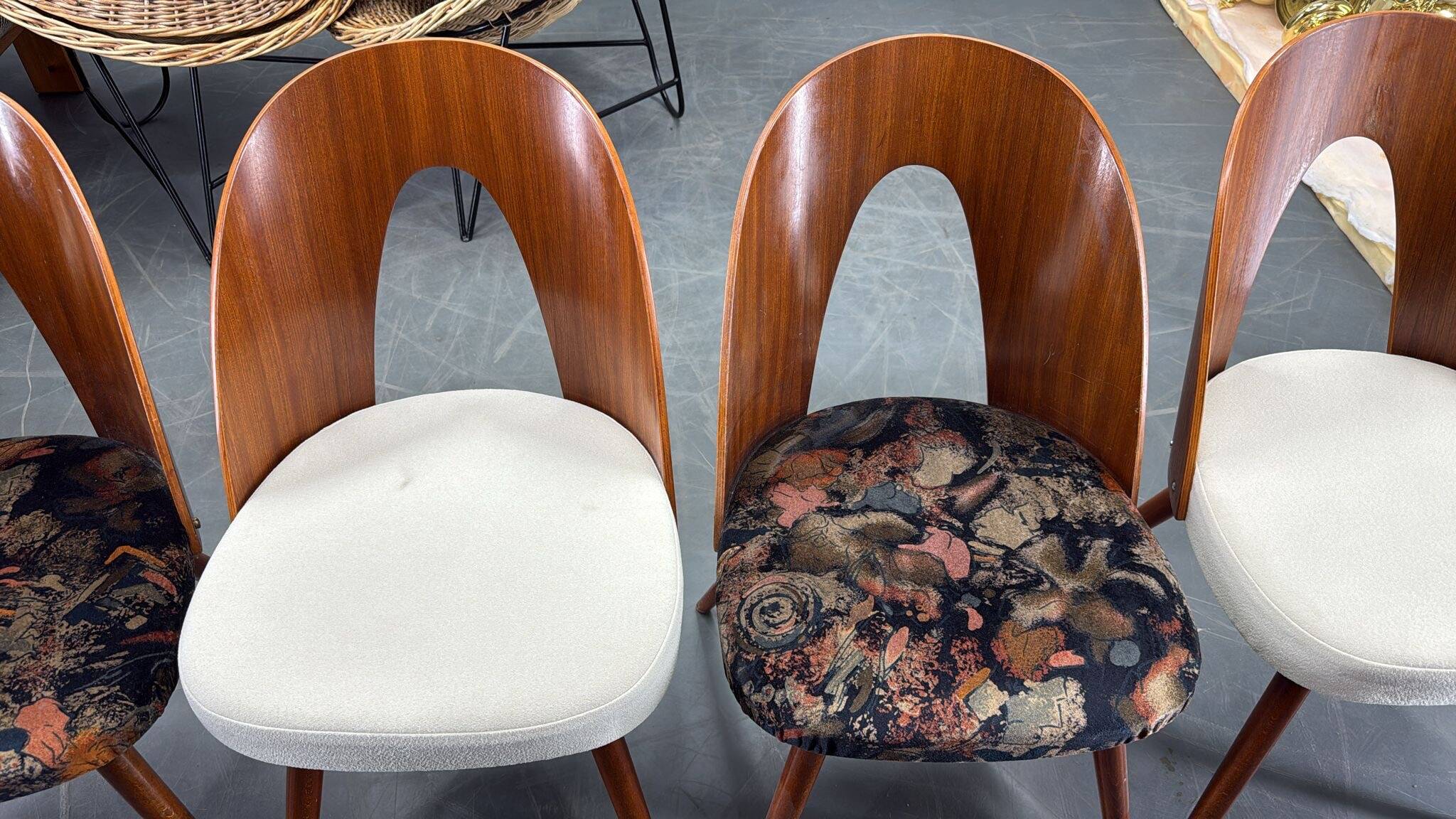 Chaises restaurées en noyer des années 1960 par Antonin Suman