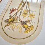Trio of Frames, Botanical illustration, 30X40cm