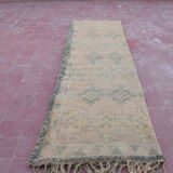 Carpet Mguild 305x170cm Beni