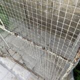 Cage birds