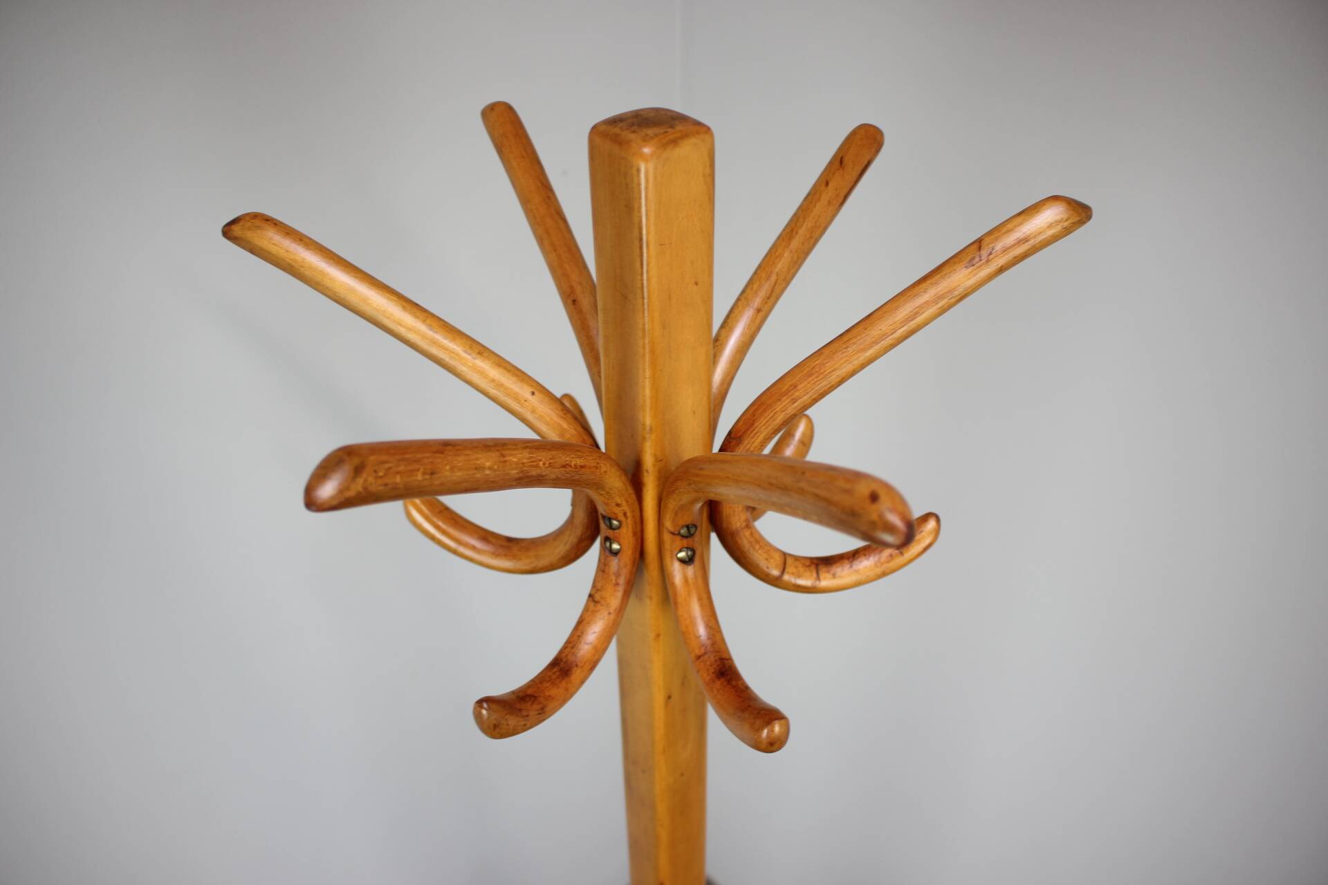 Vintage coat rack in the shape of a parrot in Bentwood - Thonet style - Early 20th century