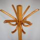 Vintage coat rack in the shape of a parrot in Bentwood - Thonet style - Early 20th century