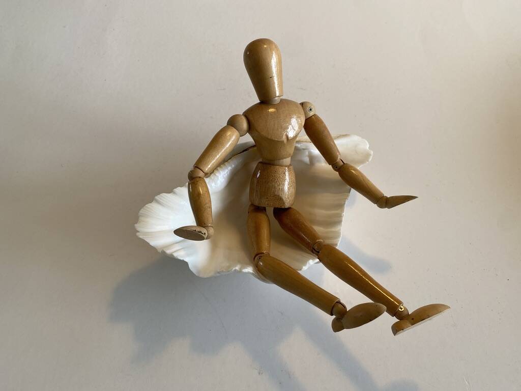 Holy Clam Shell - 23x14x7 cm - Natural - 1000g