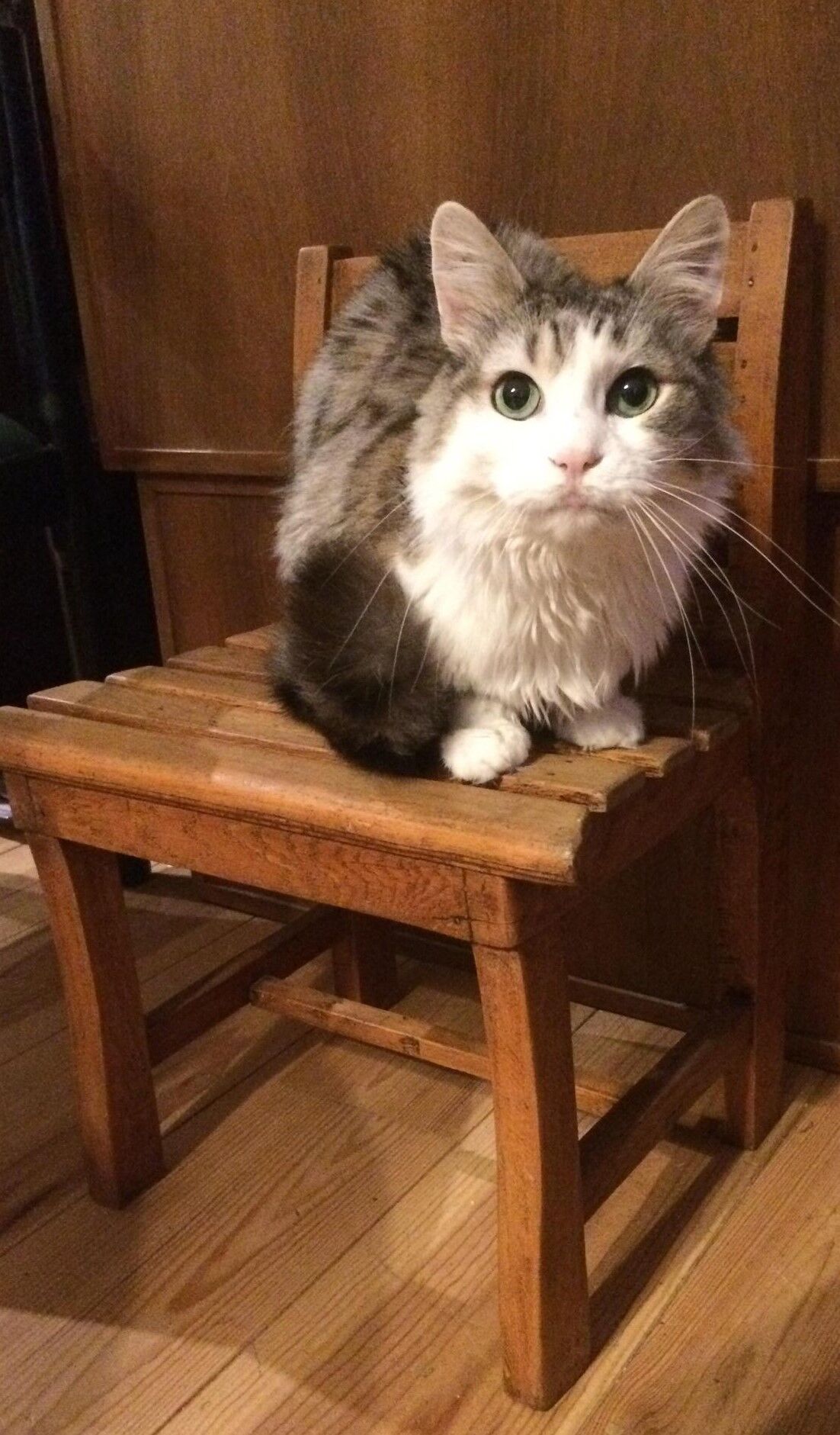 Children's wooden slatted chair