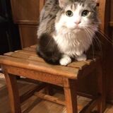 Children's wooden slatted chair