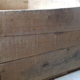 Old foal chocolate wooden case